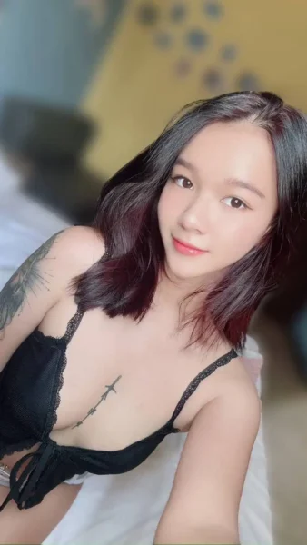 台北定點茶-熊熊/154/40/20/C