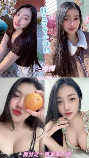 桃園定點茶-櫻櫻/156/48/24/D