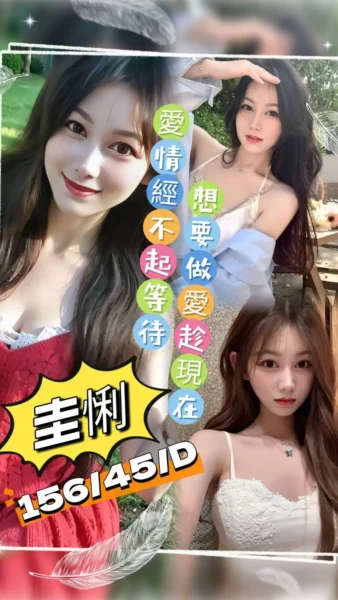 桃園定點茶-圭悧/156/45/?/D