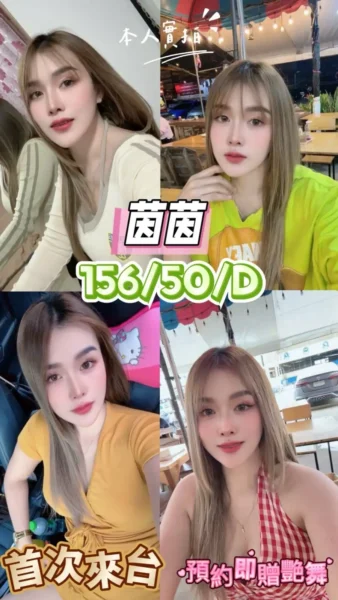 台中定點茶-茵茵/156/50/22/D