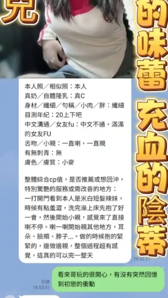 高雄定點茶-小兔兒/161/43/18/C