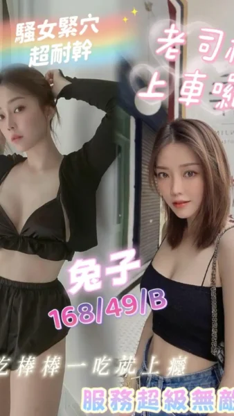 高雄定點茶-兔子/168/49/?/B