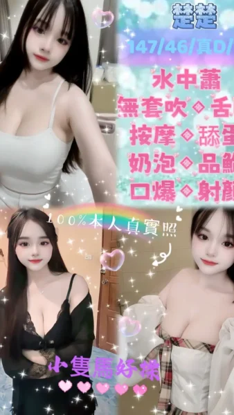 台北定點茶-楚楚/147/46/19/D