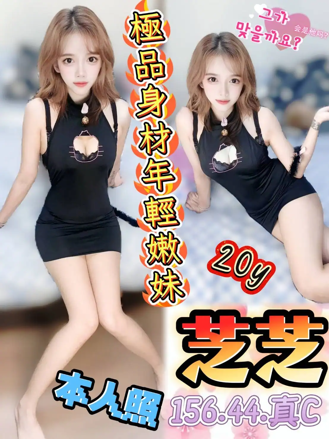 台中定點茶-芝芝/156/44/20/C