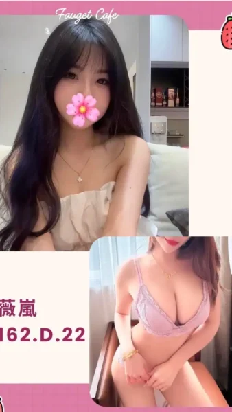 台北外送茶-薇嵐/162/?/22/D