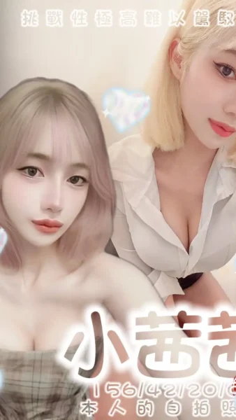 台南定點茶-小茜茜/156/42/20/C